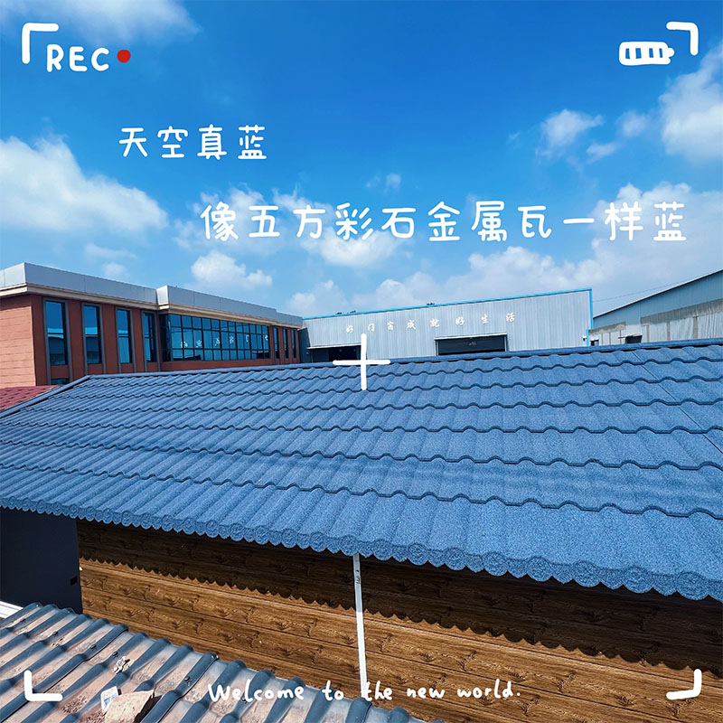 未標題-1